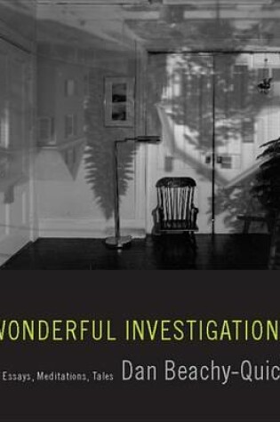 Cover of Wonderful Investigations