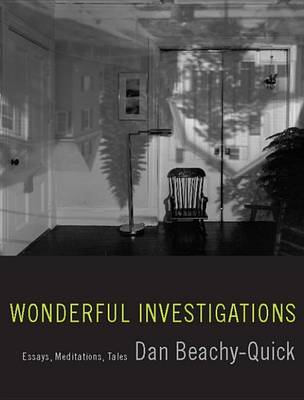 Book cover for Wonderful Investigations