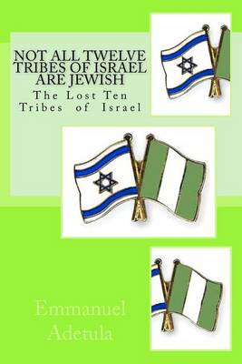 Book cover for Not All Twelve Tribes of Israel are Jewish