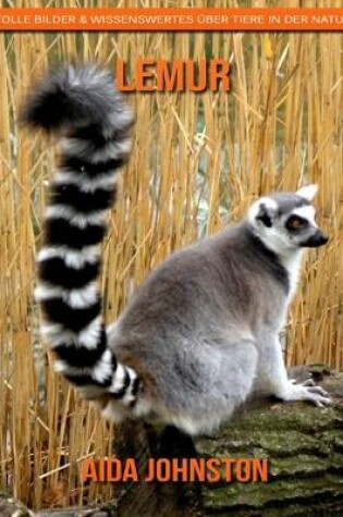 Cover of Lemur