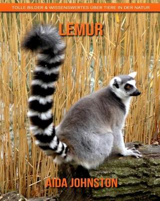 Book cover for Lemur