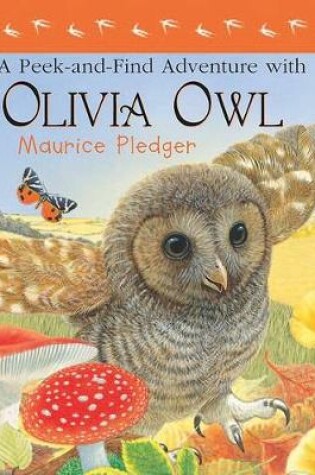 Cover of A Peek-And-Find Adventure with Olivia Owl