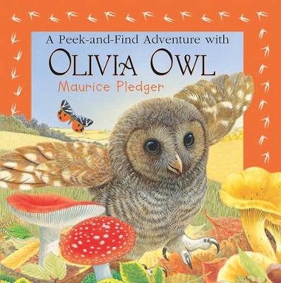 Cover of A Peek-And-Find Adventure with Olivia Owl