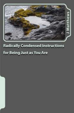 Cover of Radically Condensed Instructions for Being Just as You Are
