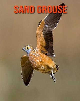 Book cover for Sand Grouse