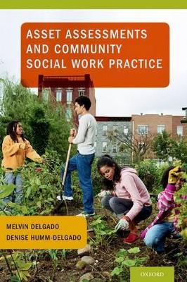 Book cover for Asset Assessments and Community Social Work Practice
