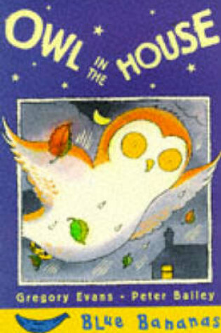 Cover of Owl in the House