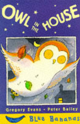 Book cover for Owl in the House