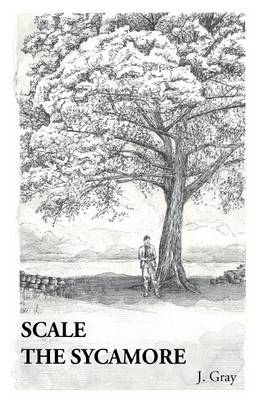 Book cover for Scale the Sycamore