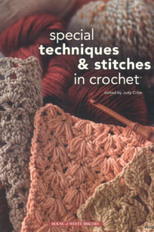 Cover of Special Techniques & Stitches in Crochet