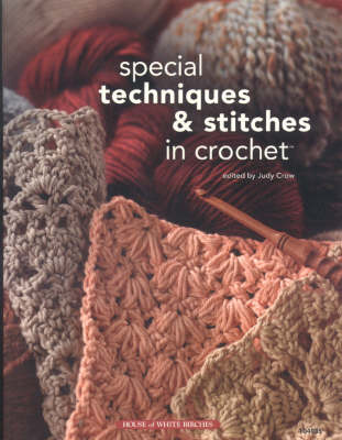 Book cover for Special Techniques & Stitches in Crochet