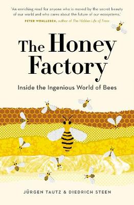 Book cover for The Honey Factory