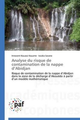 Cover of Analyse Du Risque de Contamination de la Nappe D Abidjan