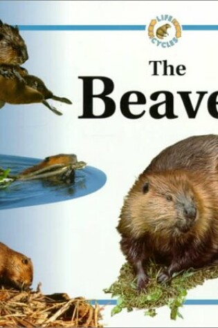 Cover of Beaver Life Cycles