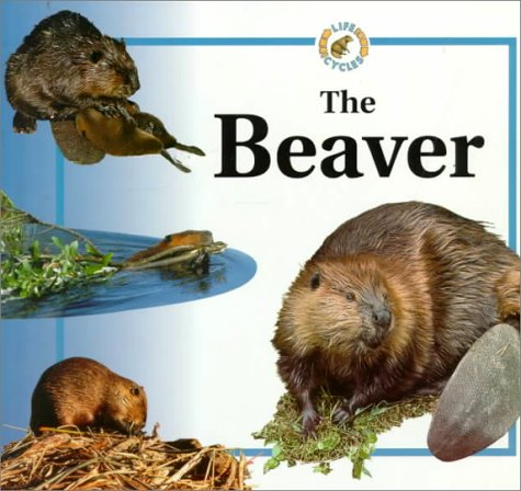 Cover of Beaver Life Cycles