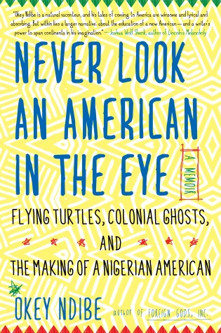 Cover of Never Look an American in the Eye