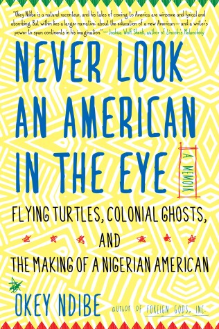 Book cover for Never Look an American in the Eye