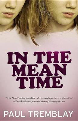Book cover for In the Mean Time
