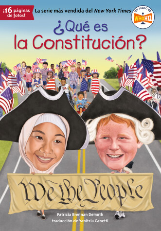 Book cover for ¿Qué es la Constitución?