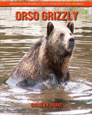 Book cover for Orso grizzly