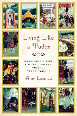 Book cover for Living Like a Tudor