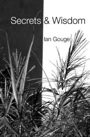 Cover of Secrets & Wisdom