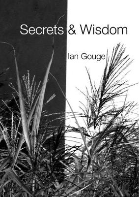 Book cover for Secrets & Wisdom