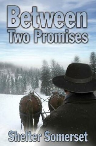 Cover of Between Two Promises