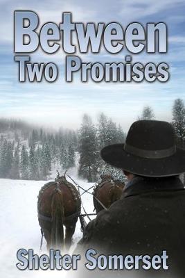 Book cover for Between Two Promises