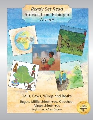 Book cover for Stories From Ethiopia Volume V