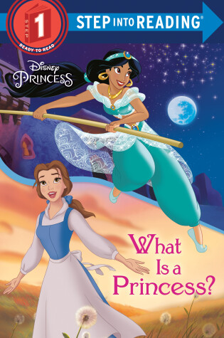 Cover of What Is a Princess? (Disney Princess)