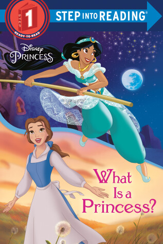 Book cover for What Is a Princess? (Disney Princess)