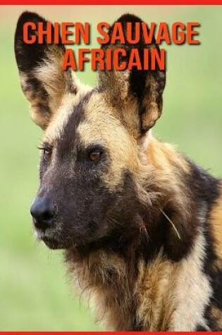 Cover of Chien Sauvage Africain