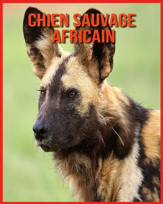 Book cover for Chien Sauvage Africain