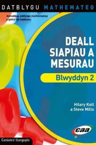 Cover of Datblygu Mathemateg: Deall Siapiau a Mesurau Blwyddyn 2