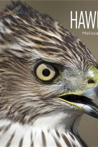 Cover of Living Wild: Hawks