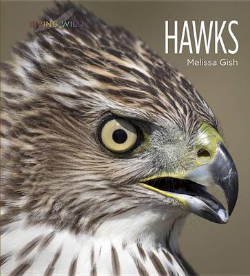 Cover of Living Wild: Hawks