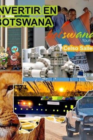 Cover of INVERTIR EN BOTSWANA - Visit Botswana - Celso Salles