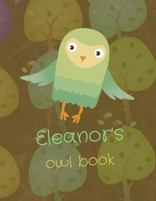 Book cover for Eleanor's Owl Book