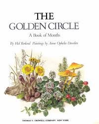Book cover for The Golden Circle