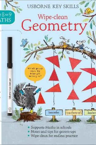 Cover of Wipe-Clean Geometry 8-9