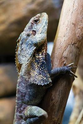 Cover of Hooded Frilled Lizard Journal