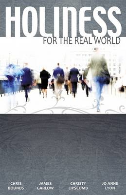 Book cover for Holiness for the Real World