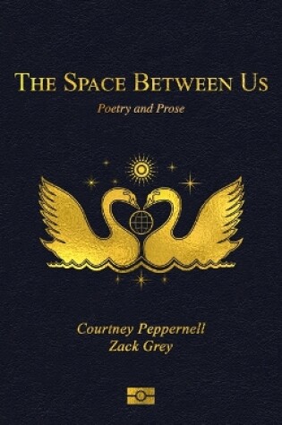 Cover of The Space Between Us