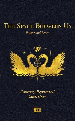 Book cover for The Space Between Us