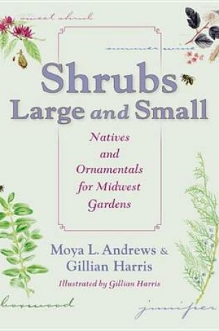 Cover of Shrubs Large and Small