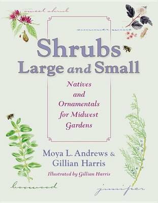 Book cover for Shrubs Large and Small