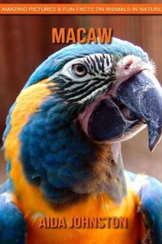 Cover of Macaw