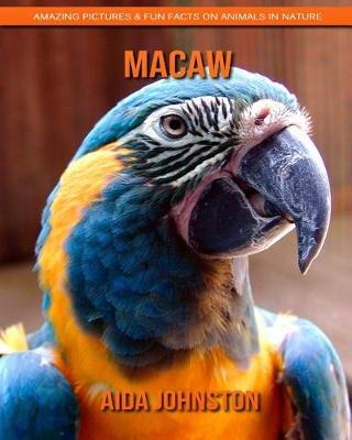 Book cover for Macaw