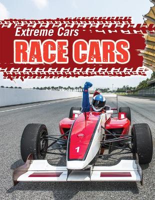 Book cover for Race Cars